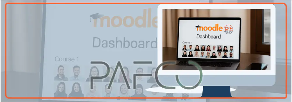 مودل پافکو یا ال ام اس اختصاصی مودل پافکو یا ال ام اس اختصاصی